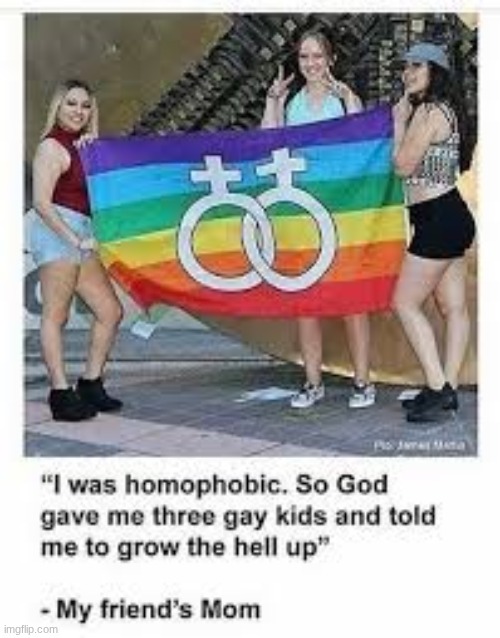 Teh interwebs | image tagged in gay,pride | made w/ Imgflip meme maker