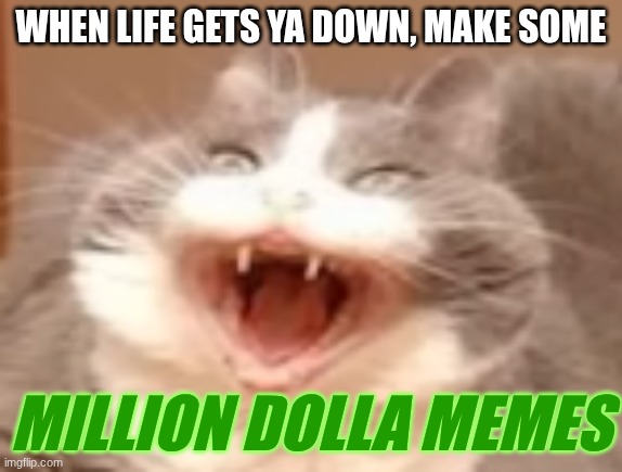 how it feels to not care if your corny or not | WHEN LIFE GETS YA DOWN, MAKE SOME; MILLION DOLLA MEMES | image tagged in cat | made w/ Imgflip meme maker