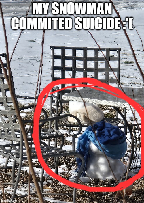 He jumped off the table :'( RIP Gullimero | MY SNOWMAN COMMITED SUICIDE :'( | made w/ Imgflip meme maker