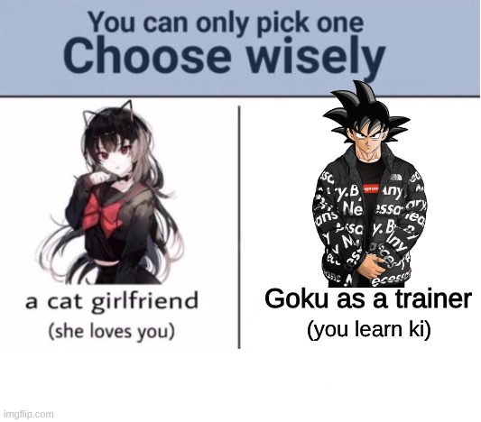 choose wisely | Goku as a trainer; (you learn ki) | image tagged in choose wisely,goku,drip,stop reading the tags | made w/ Imgflip meme maker