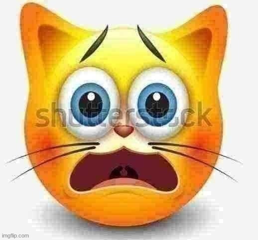 scared cat emoji | image tagged in scared cat emoji | made w/ Imgflip meme maker