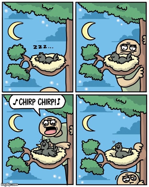 Loud Birds | image tagged in comics | made w/ Imgflip meme maker