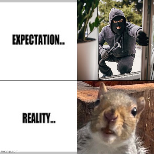Security camera false alert meme | image tagged in expectation vs reality | made w/ Imgflip meme maker
