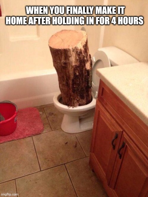 When You Finally Make It Home | WHEN YOU FINALLY MAKE IT HOME AFTER HOLDING IN FOR 4 HOURS | image tagged in chrisjoines1 | made w/ Imgflip meme maker