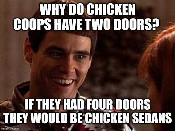 Chicken joke | WHY DO CHICKEN COOPS HAVE TWO DOORS? IF THEY HAD FOUR DOORS THEY WOULD BE CHICKEN SEDANS | image tagged in dumb and dumber,funny memes | made w/ Imgflip meme maker