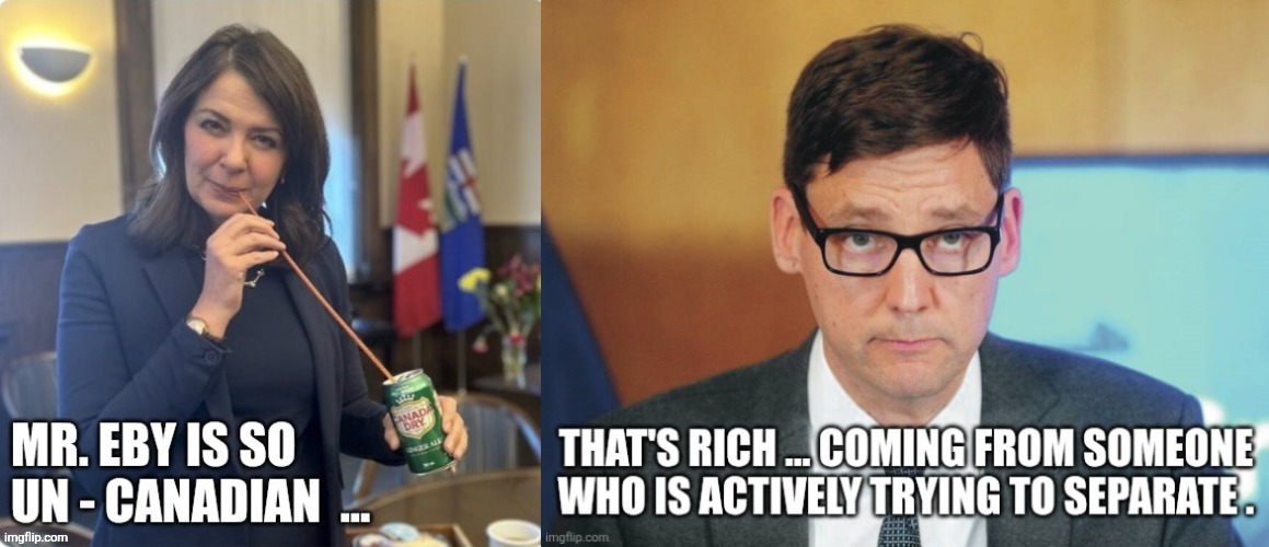 Canadian politics | image tagged in political meme | made w/ Imgflip meme maker