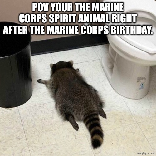 Liquor Store Racoon | POV YOUR THE MARINE CORPS SPIRIT ANIMAL RIGHT AFTER THE MARINE CORPS BIRTHDAY. | image tagged in liquor store racoon | made w/ Imgflip meme maker