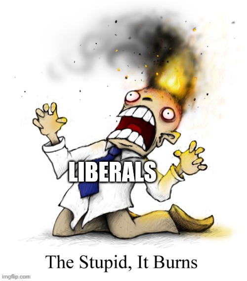 LIBERALS | made w/ Imgflip meme maker
