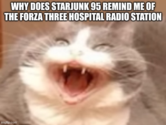 cat | WHY DOES STARJUNK 95 REMIND ME OF THE FORZA THREE HOSPITAL RADIO STATION | image tagged in cat | made w/ Imgflip meme maker