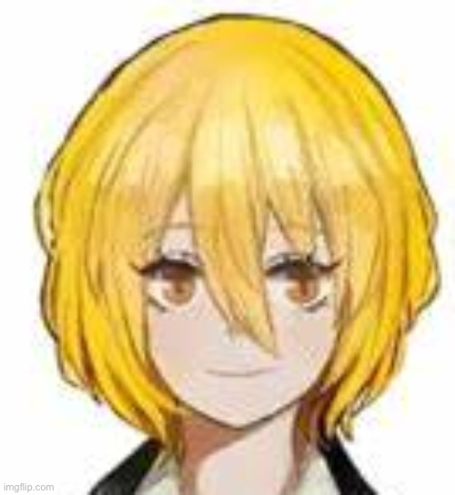 Don Quixote | image tagged in don quixote | made w/ Imgflip meme maker