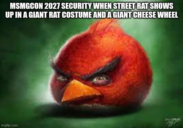 Realistic Red Angry Birds | MSMGCON 2027 SECURITY WHEN STREET RAT SHOWS UP IN A GIANT RAT COSTUME AND A GIANT CHEESE WHEEL | image tagged in realistic red angry birds | made w/ Imgflip meme maker