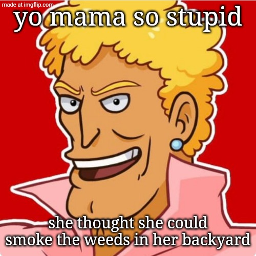 an actual yo mama joke instead of just facts | yo mama so stupid; she thought she could smoke the weeds in her backyard | image tagged in brody foxx | made w/ Imgflip meme maker