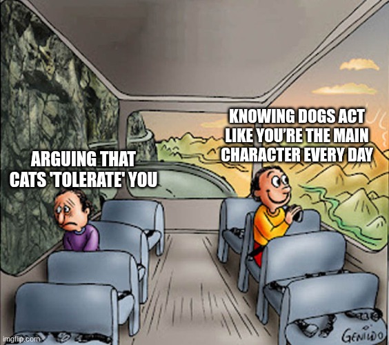 Dogs vs. Cats | KNOWING DOGS ACT LIKE YOU’RE THE MAIN CHARACTER EVERY DAY; ARGUING THAT CATS 'TOLERATE' YOU | image tagged in two guys on a bus | made w/ Imgflip meme maker