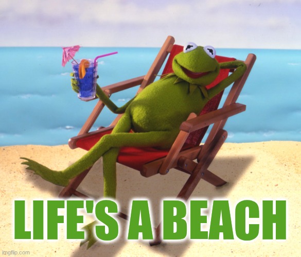 Life's a beach | LIFE'S A BEACH | image tagged in kermit vacation | made w/ Imgflip meme maker