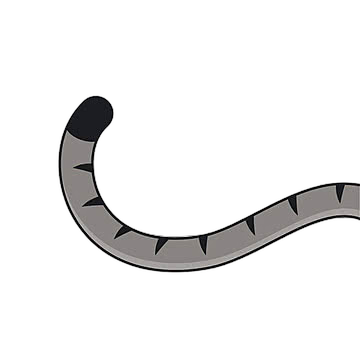 tail Blank Meme Template