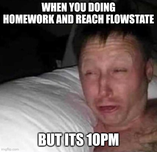 Barely keep eyes open | WHEN YOU DOING HOMEWORK AND REACH FLOWSTATE; BUT ITS 10PM | image tagged in sleepy guy | made w/ Imgflip meme maker