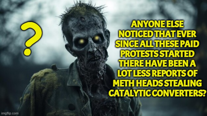 Making that Meth Money the old fashioned way. Protesting! | ANYONE ELSE NOTICED THAT EVER SINCE ALL THESE PAID PROTESTS STARTED THERE HAVE BEEN A LOT LESS REPORTS OF METH HEADS STEALING CATALYTIC CONVERTERS? ? | image tagged in meth,protest,ice,george soros,soros,deportation | made w/ Imgflip meme maker
