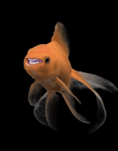 Why files lizard people Blank Meme Template