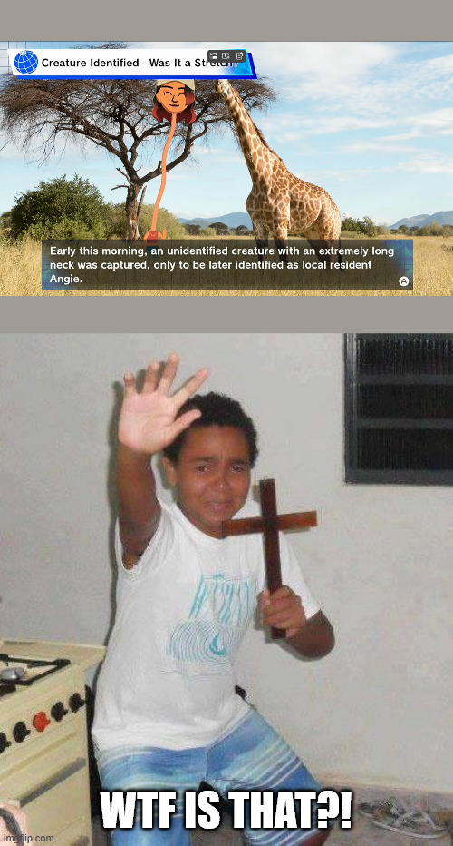 kid with cross | WTF IS THAT?! | image tagged in kid with cross,tomodachi life | made w/ Imgflip meme maker