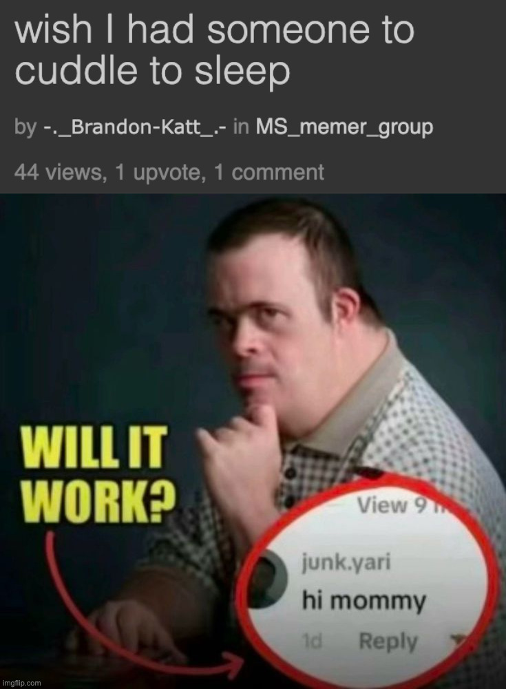 image tagged in will it work | made w/ Imgflip meme maker