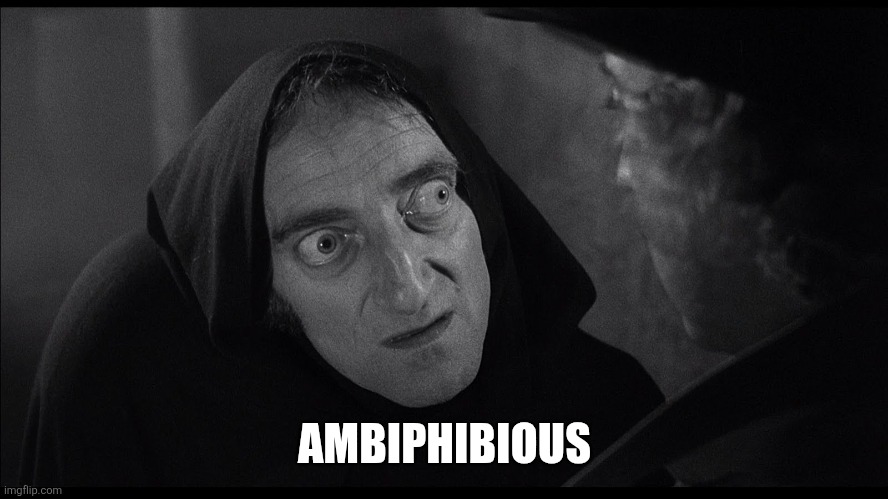 young frankenstein igor | AMBIPHIBIOUS | image tagged in young frankenstein igor | made w/ Imgflip meme maker