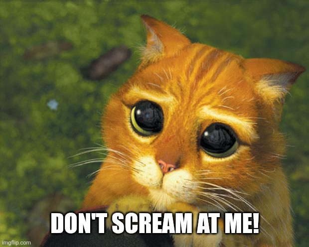 puss in boots | DON'T SCREAM AT ME! | image tagged in puss in boots | made w/ Imgflip meme maker