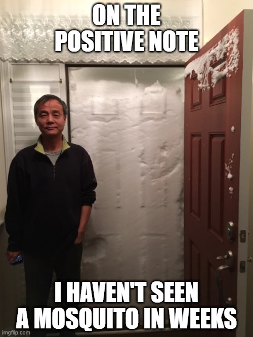 When thinking positive doesn't work like its supposed to | ON THE POSITIVE NOTE; I HAVEN'T SEEN A MOSQUITO IN WEEKS | image tagged in funny memes | made w/ Imgflip meme maker