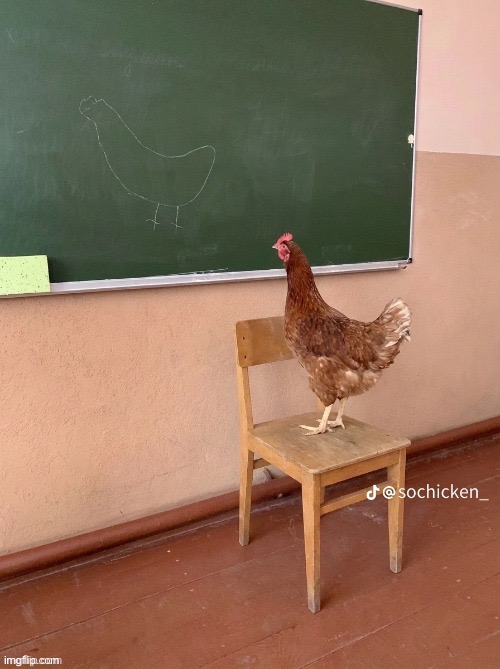 image tagged in funy | made w/ Imgflip meme maker