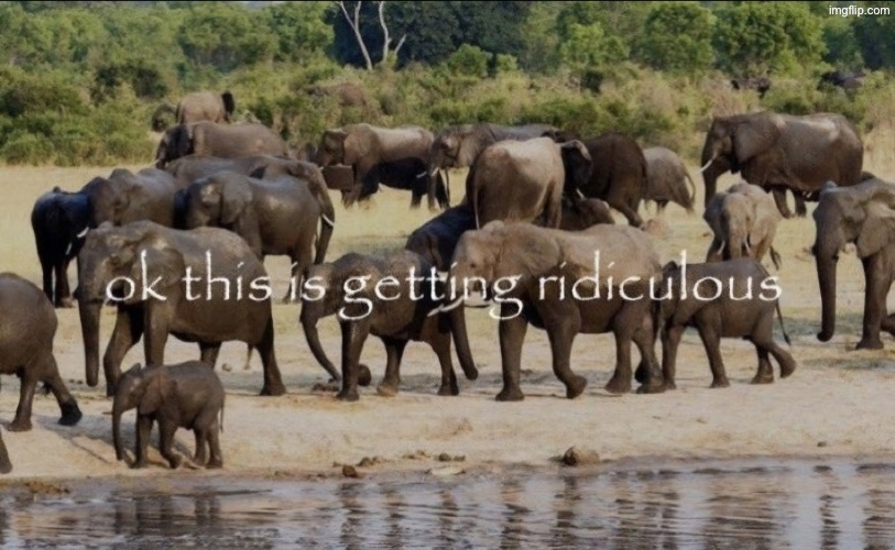 image tagged in ok this is getting ridiculous | made w/ Imgflip meme maker
