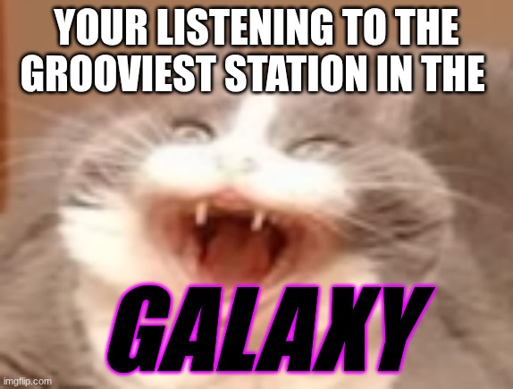 cat | YOUR LISTENING TO THE GROOVIEST STATION IN THE; GALAXY | image tagged in cat | made w/ Imgflip meme maker
