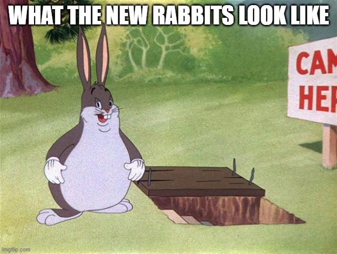 Big Chungus | WHAT THE NEW RABBITS LOOK LIKE | image tagged in big chungus | made w/ Imgflip meme maker
