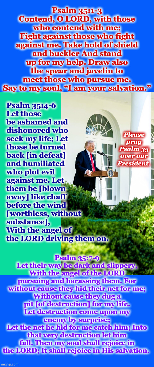 Psalm 35 Prayer over President Trump! | Psalm 35:1-3
Contend, O LORD, with those who contend with me;
Fight against those who fight against me. Take hold of shield and buckler And stand up for my help. Draw also the spear and javelin to meet those who pursue me. Say to my soul, “I am your salvation.”; Psalm 35:4-6
Let those be ashamed and dishonored who seek my life; Let those be turned back [in defeat] and humiliated who plot evil against me. Let them be [blown away] like chaff before the wind [worthless, without substance], With the angel of the LORD driving them on. Please pray Psalm 35 over our President. Psalm 35:7-9
Let their way be dark and slippery,
With the angel of the LORD pursuing and harassing them. For without cause they hid their net for me;
Without cause they dug a pit [of destruction] for my life.
Let destruction come upon my enemy by surprise;
Let the net he hid for me catch him; Into that very destruction let him fall. Then my soul shall rejoice in the LORD; It shall rejoice in His salvation. @SongofGrace @OneJoyfulNoise | made w/ Imgflip meme maker
