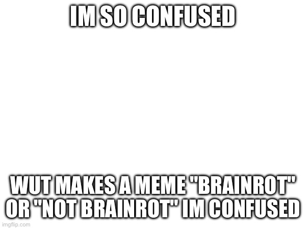 IM SO CONFUSED; WUT MAKES A MEME "BRAINROT" OR "NOT BRAINROT" IM CONFUSED | made w/ Imgflip meme maker