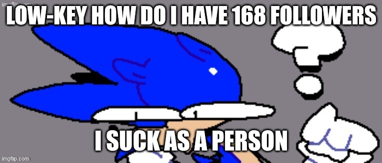 huh? | LOW-KEY HOW DO I HAVE 168 FOLLOWERS; I SUCK AS A PERSON | image tagged in huh | made w/ Imgflip meme maker