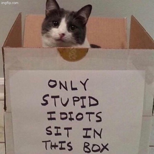 Only Stupid Idiots | image tagged in cats,funny cats,stupid,idiots,box,funny signs | made w/ Imgflip meme maker