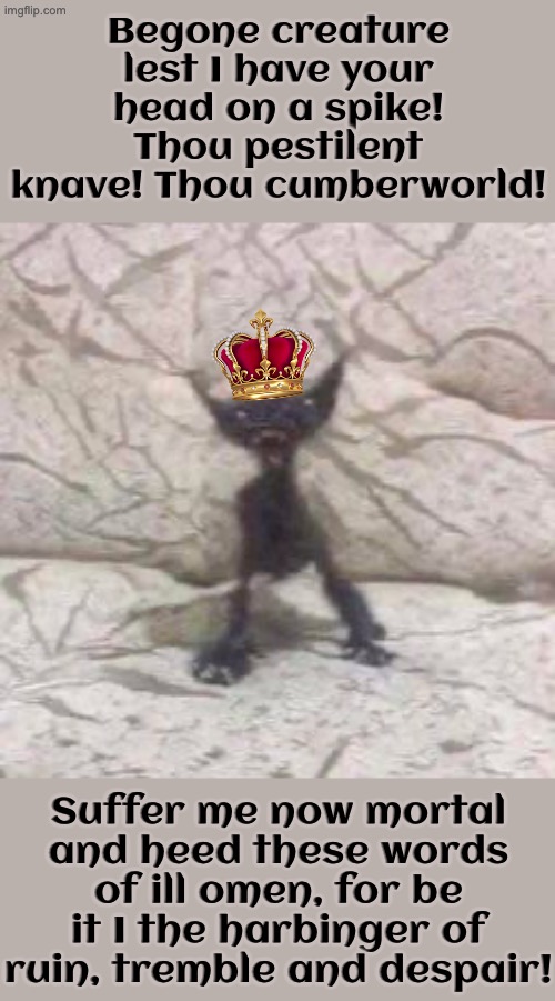 Another Possessed, Creepy Looking Medieval King Cat | Begone creature lest I have your head on a spike! Thou pestilent knave! Thou cumberworld! Suffer me now mortal and heed these words of ill omen, for be it I the harbinger of ruin, tremble and despair! | image tagged in cats,funny cats,medieval memes,superior royalty,the king,insults | made w/ Imgflip meme maker