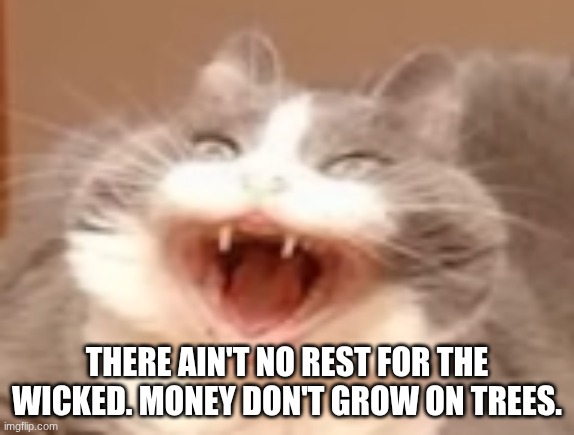 finish the lyrics | THERE AIN'T NO REST FOR THE WICKED. MONEY DON'T GROW ON TREES. | image tagged in cat | made w/ Imgflip meme maker