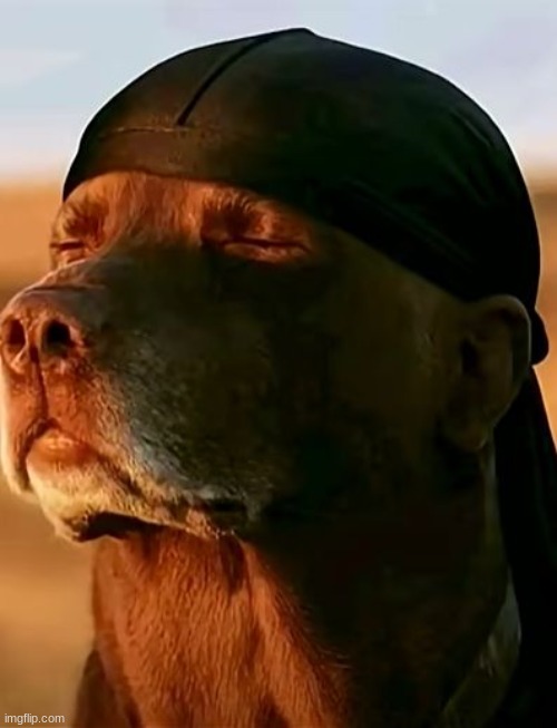 Snoop dogg Blank Meme Template