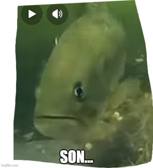 SON... | made w/ Imgflip meme maker