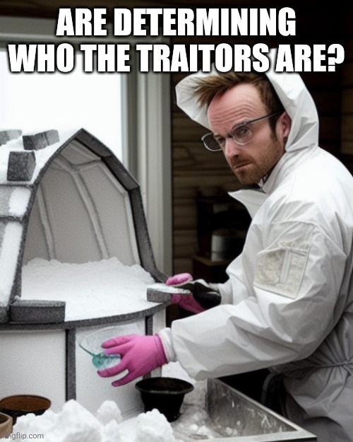 Snowcones | ARE DETERMINING WHO THE TRAITORS ARE? | image tagged in snowcones | made w/ Imgflip meme maker