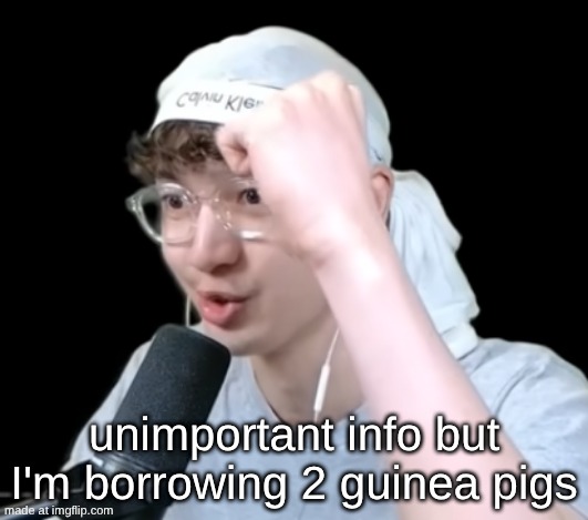 idk | unimportant info but I'm borrowing 2 guinea pigs | made w/ Imgflip meme maker