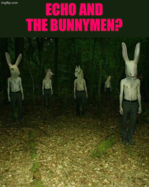 Echo and the Bunnymen? | ECHO AND THE BUNNYMEN? | image tagged in cursed images,what a terrible day to have eyes,excuse me wtf,bunny,1980's,80s music | made w/ Imgflip meme maker