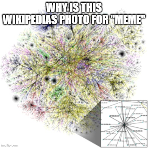 Like wow | WHY IS THIS WIKIPEDIAS PHOTO FOR "MEME" | made w/ Imgflip meme maker