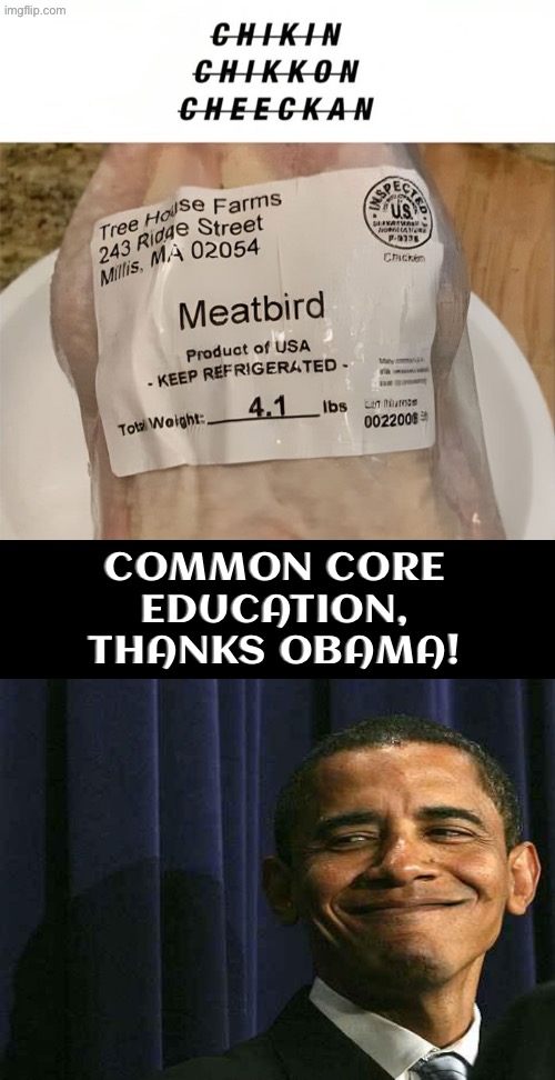 Once Again... Thanks Obama! | COMMON CORE EDUCATION,
THANKS OBAMA! | image tagged in thanks obama,libtards,liberal logic,duhhh dumbass,common core,do you are have stupid | made w/ Imgflip meme maker
