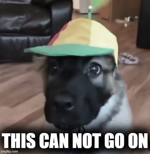 something | THIS CAN NOT GO ON | image tagged in rmk,bust your knee caps | made w/ Imgflip meme maker