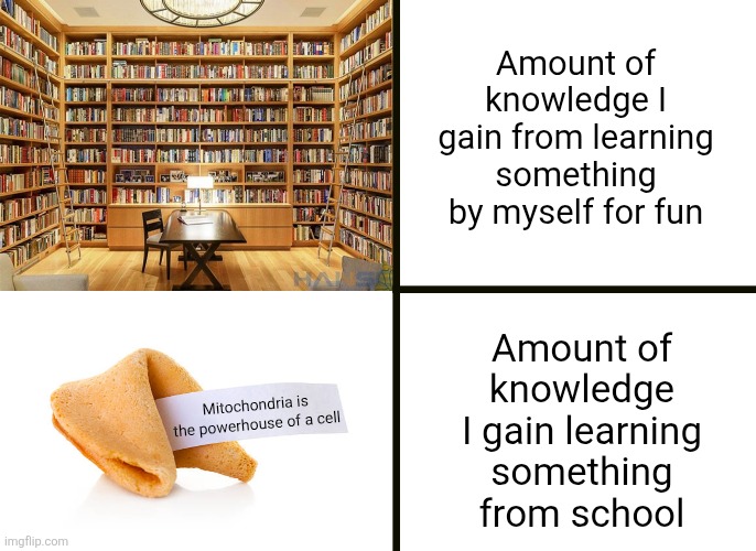 Learning by yourself makes it seem way more important | Amount of knowledge I gain from learning something by myself for fun; Amount of knowledge I gain learning something from school; Mitochondria is the powerhouse of a cell | image tagged in learning,school,relatable,fun,books,fortune cookie | made w/ Imgflip meme maker