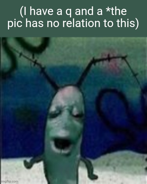 ¯⁠\⁠_⁠(⁠ツ⁠)⁠_⁠/⁠¯ | (I have a q and a *the pic has no relation to this) | image tagged in oooouuuuuoooooooooooo | made w/ Imgflip meme maker