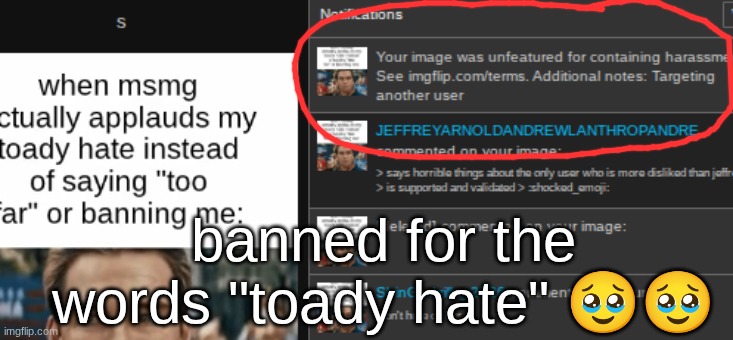I'm peaking | banned for the words "toady hate" 🥹🥹 | made w/ Imgflip meme maker
