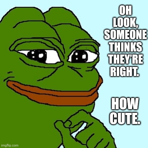 You think your right how cute | OH LOOK, SOMEONE THINKS THEY’RE RIGHT. HOW CUTE. | image tagged in smug pepe | made w/ Imgflip meme maker