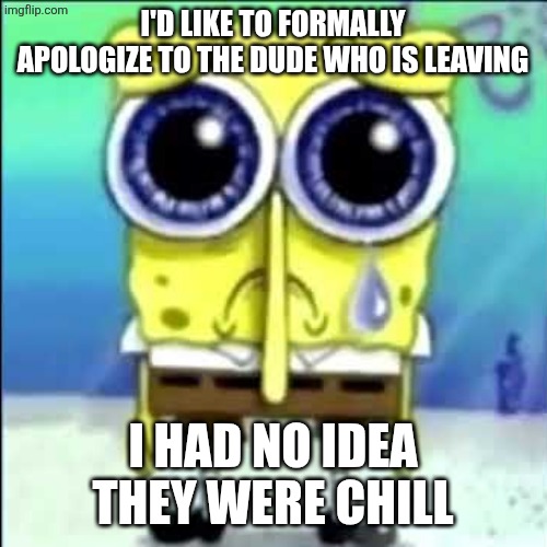 Sad Spongebob | I'D LIKE TO FORMALLY APOLOGIZE TO THE DUDE WHO IS LEAVING; I HAD NO IDEA THEY WERE CHILL | image tagged in sad spongebob | made w/ Imgflip meme maker